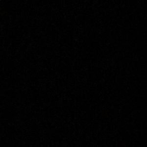 Meet your Posher, Kinsley